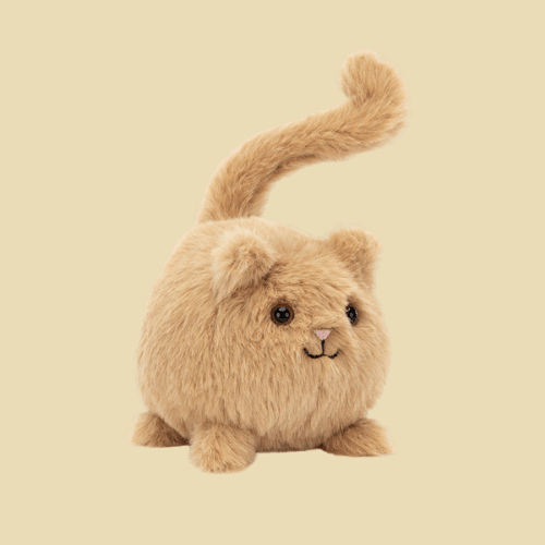 Kitten Caboodle Ginger