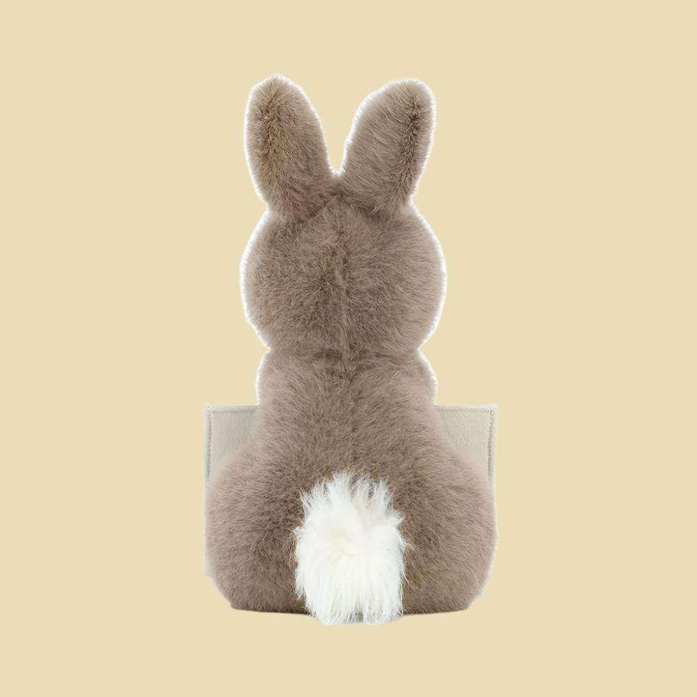 Messenger Bunny